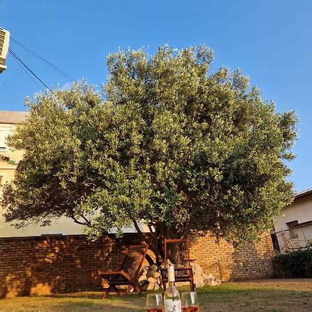 Apartmani Studio Apartmani Senjska Maslina Senj  Eksteriør billede