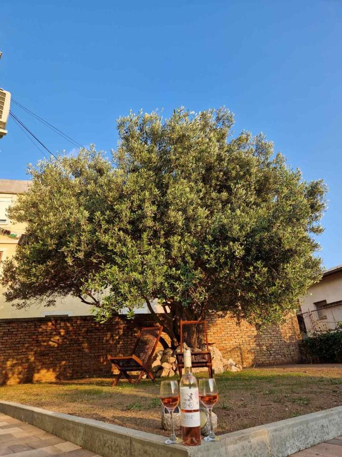 Apartmani Studio Apartmani Senjska Maslina Senj  Eksteriør billede