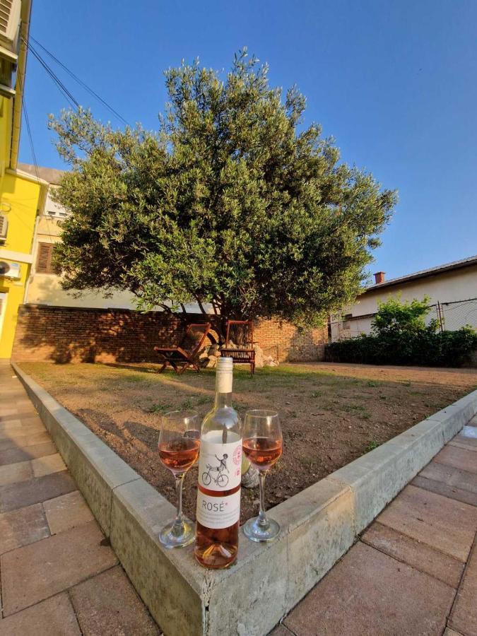 Apartmani Studio Apartmani Senjska Maslina Senj  Eksteriør billede