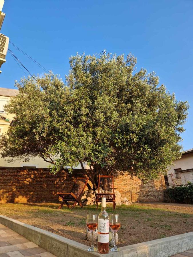Apartmani Studio Apartmani Senjska Maslina Senj  Eksteriør billede