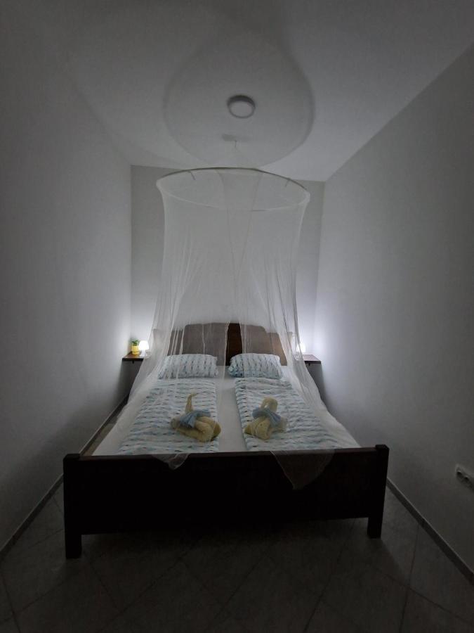 Apartmani Studio Apartmani Senjska Maslina Senj  Eksteriør billede